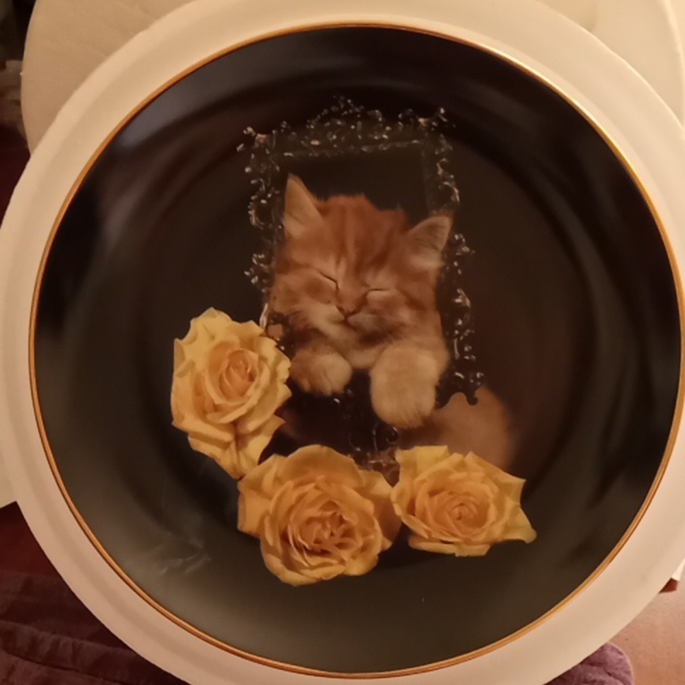Danbury Mint Plate Collection "Coming Up Roses" 8 Plates (Precious Kitty's)